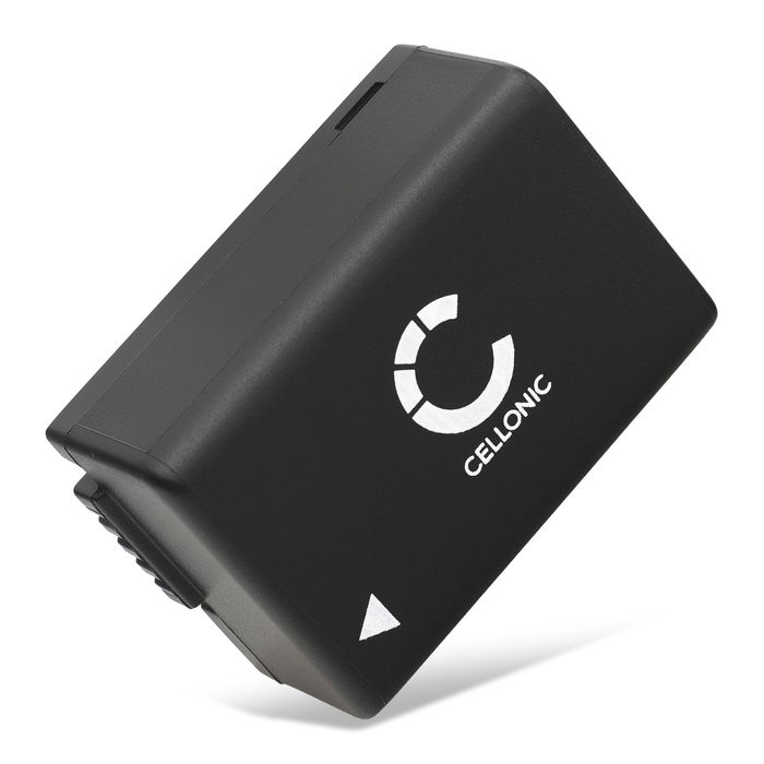 BP-DC9 Batteri för Leica V-LUX 2 V-LUX 3, 800mAh Kamera-ersättningsbatteri med lång batteritid