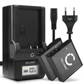 2x Batteri för Besteker F301, 302S, HDV-D328, HDV-VD2, HDV-Z28, DDV-V6, DDV-V8, HDV-301S FHD kamera med hög 950mAh kapacitet + laddare för uppladdningsbara kamerabatterier