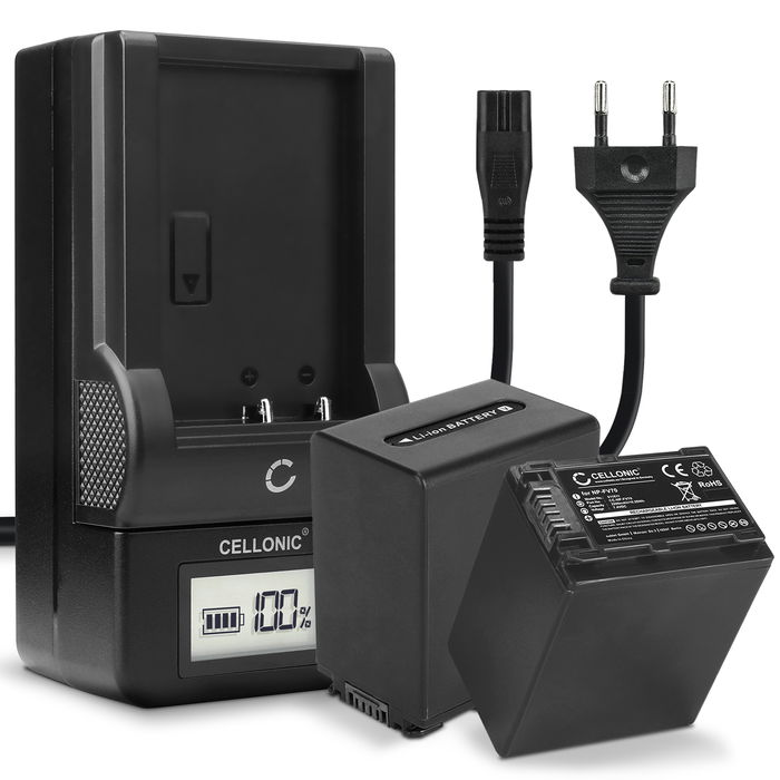 2x Sony FDR-AX33 Batteri