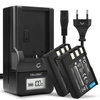 2x Batteri 1000mAh + Laddare