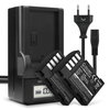 2x Batteri 1600mAh+ Laddare