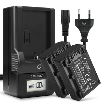 2x Batteri för Sony FDR-AX33 AX53 AX100e HDR-PJ810 PJ530 PJ330 PJ260 HDR-CX625 CX900 HDR-XR550 NEX-VG900 kamera med hög 650mAh kapacitet + laddare för uppladdningsbara kamerabatterier