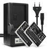2x Batteri 600mAh+ Laddare