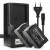 2x Batteri 2200mAh+ Laddare