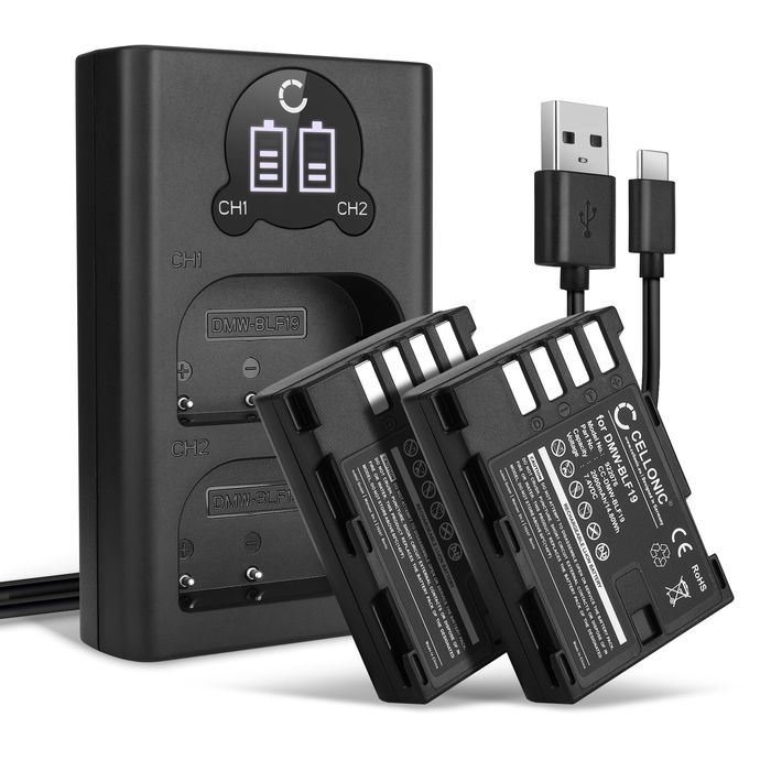 2x Batteri för Panasonic Lumix DC-GH5s GH5 DMC-GH4 GH4 GH4r GH4h GH3 DMC-GH3h GH3a G9 DC-G9 kamera med hög 2000mAh kapacitet + dubbelladdare med USB-uttag för uppladdningsbara kamerabatteri