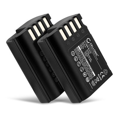 2x DMW-BLK22 Batteri för Panasonic Lumix DC-GH5 II DC-GH6 DC-S5 G9 GH5 GH5S digitalkamera, 1600mAh Kamera-ersättningsbatteri med lång batteritid